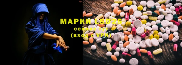 a pvp Алзамай
