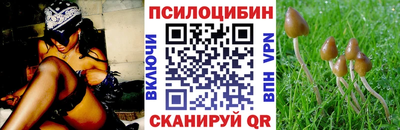 Псилоцибиновые грибы ЛСД  купить   hydra как зайти  Кимры 